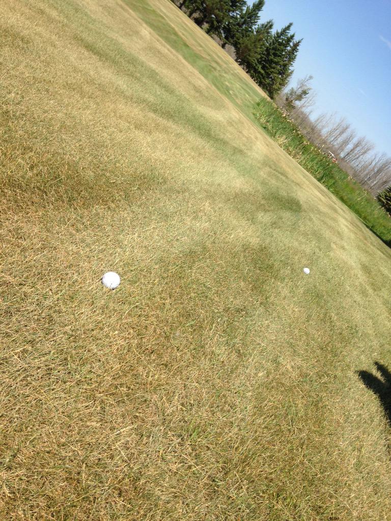 Lyndon Lumb tweet media