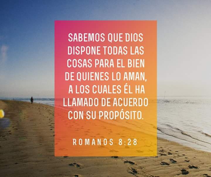 ConectadosEW tweet picture