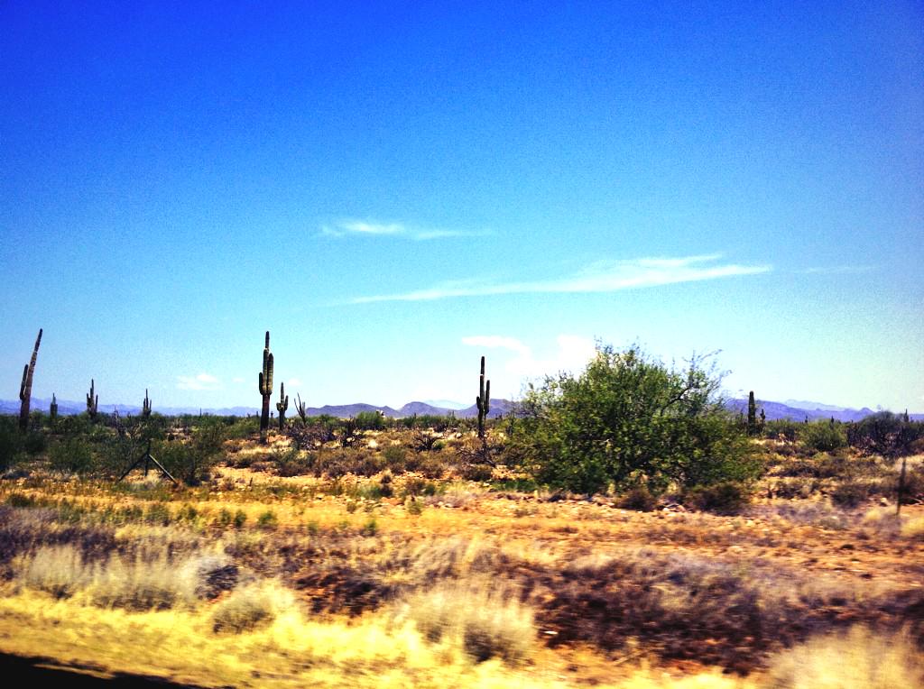 Brown Party Liquor tweet media