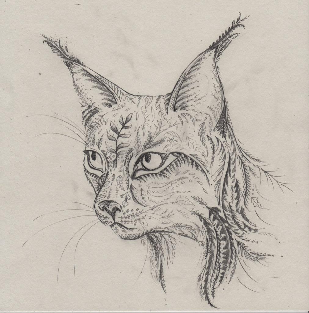 lynxonthebrink's tweet photo. The fantastic @HelenAhpornsiri is doing a limited edition piece for us. Here's her opening sketch. http://t.co/PC3CT2CTTh