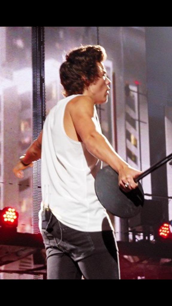 beachsidehes's tweet photo. CASUALLY BLESSING YOUR TIMELINE WITH TAN 2013 TAKE ME HOME TOUR HARRY

#HollywoodChoice One Direction http://t.co/3ftnrkqLk4