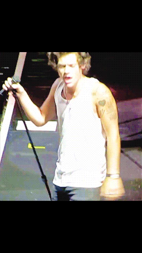 beachsidehes's tweet photo. CASUALLY BLESSING YOUR TIMELINE WITH TAN 2013 TAKE ME HOME TOUR HARRY

#HollywoodChoice One Direction http://t.co/3ftnrkqLk4