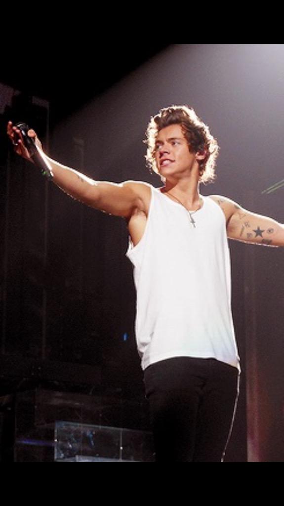 beachsidehes's tweet photo. CASUALLY BLESSING YOUR TIMELINE WITH TAN 2013 TAKE ME HOME TOUR HARRY

#HollywoodChoice One Direction http://t.co/3ftnrkqLk4