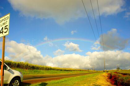 beautiful_view2's tweet photo. ハワイの道路♡
こういう雰囲気好き♡♡ http://t.co/wET3byWS4O
