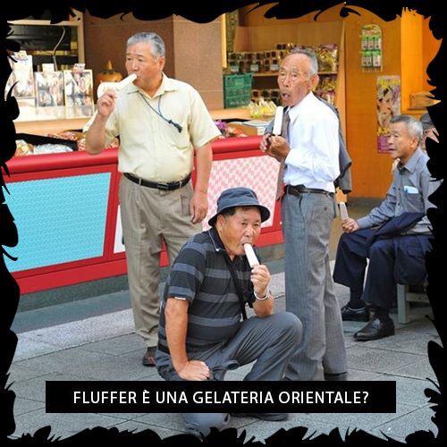 FlufferBar tweet picture