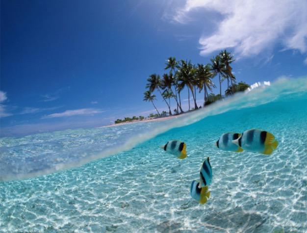 IovesNature's tweet photo. Fav if you would love to be there! http://t.co/pcimxvDmU0