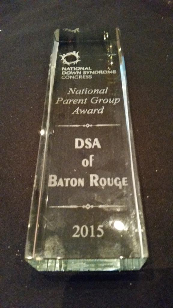 bbswit's tweet photo. Congratulations to the @dsagBR for receiving a National Parent Group Award at #NDSC15. @tamilaw330 http://t.co/XEFY2hfzDn