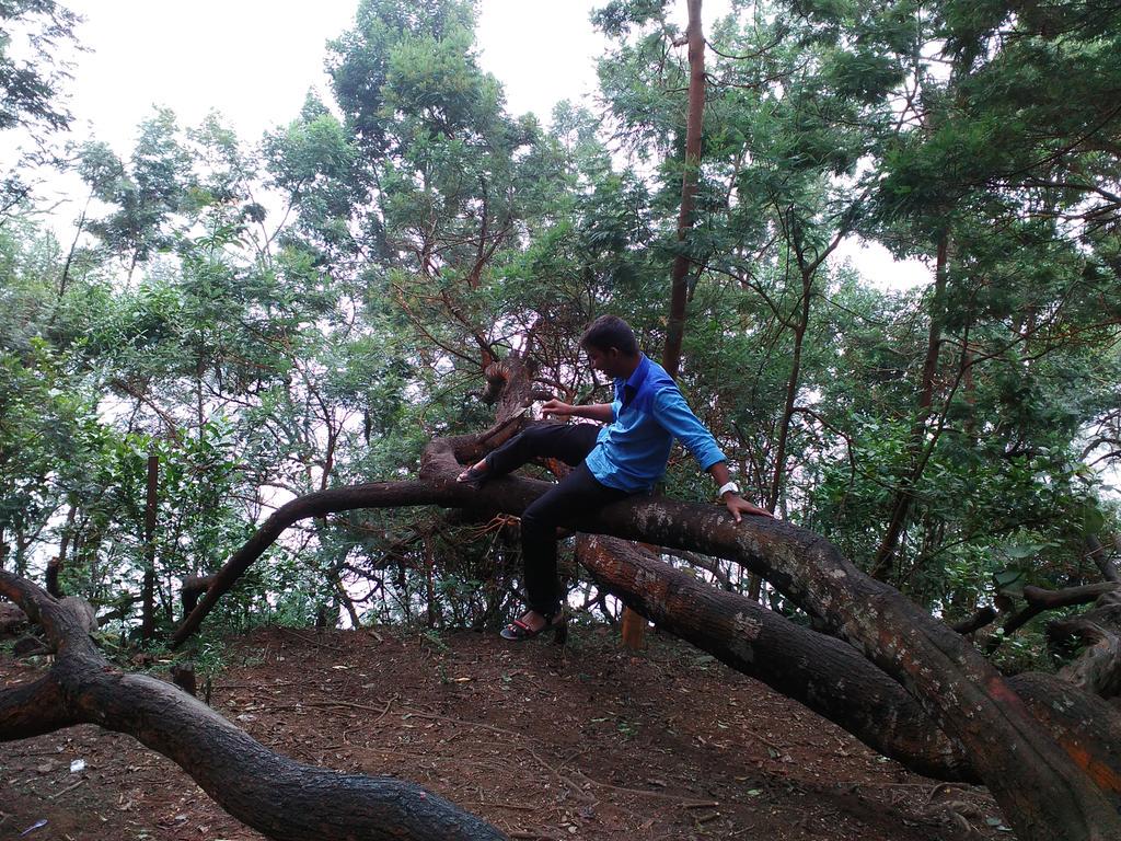 kaviintamizh's tweet photo. #Please_Save_Trees அப்ப தான் இந்த மாதிரி குரங்கு சேட்டையெல்லாம் பண்ண முடியும்.. http://t.co/Ykhryjpchh