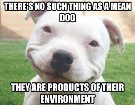 Apply the same logic to people and you'll have a far happier existence.