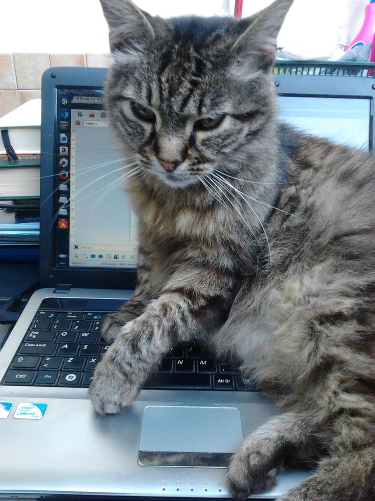 Quando sei comoda, eh, senza fretta... http://t.co/j2NwNAz023