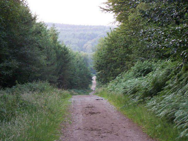 CathedralOfLies's tweet image. @Cannock_Chase  Kindle crime thriller staffs author features Cannock Chase &amp;amp; more local places amazon.co.uk/s/ref=nb_sb_ss…