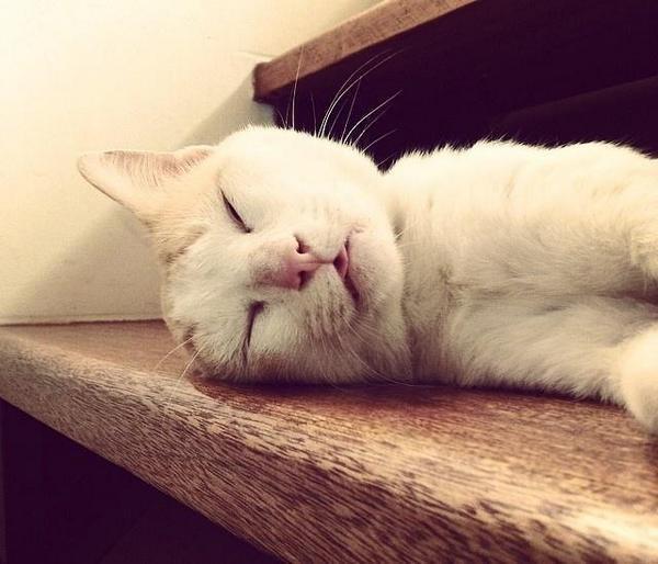 StumblerTop's tweet photo. That amazing feeling when everyone leaves the house and you're finally alone http://t.co/D8Et1p5ZuO