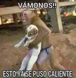 RubenDario's tweet photo. http://t.co/VRi9JdPiqc