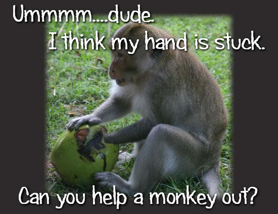 Junot11111's tweet image. Why #Lalitgate  didn&apos;t figure in Mann Ki Baat - #Shushmagate #RajeforLalit ????@gsurya@rachitseth@geetv79