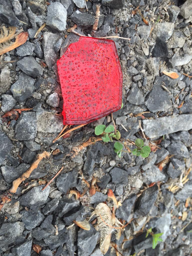 Man who called 911 shaken up &amp; angry that driver fled the scene after hitting cyclist on Leitrim Rd #cbcott #ottnews