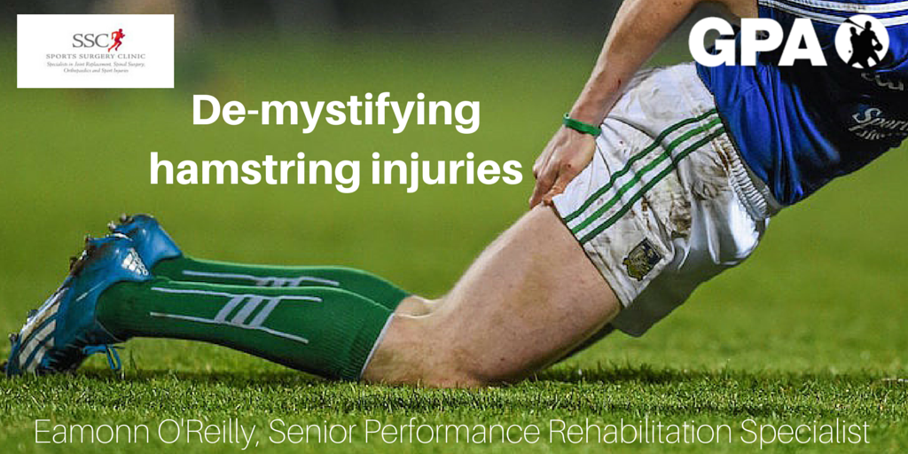 gaelicplayers's tweet photo. Have you suffered a hamstring injury? You need to read this by @_eamonoreilly @SSCSantry https://t.co/DKciipX3Kj http://t.co/3hUuVkiZEi