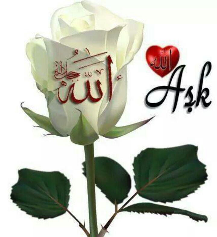 suleyman9067's tweet photo. Ve anladım ki,
sonu vuslat olsun,
ayrılık olsun ne fark eder..
Aşk, bitmez tükenmez
bir hasret biçimidir. http://t.co/esBrZFRKdY