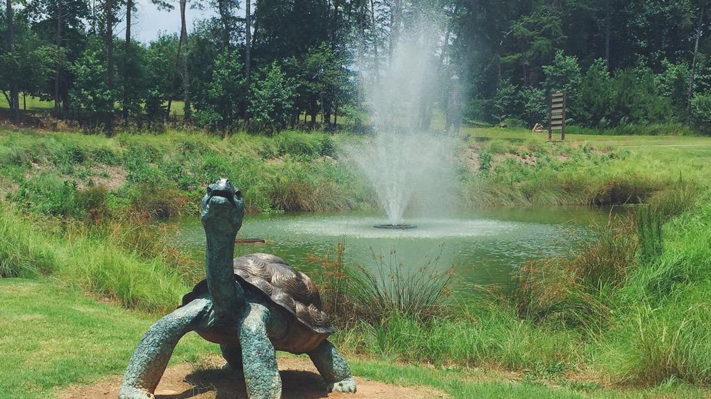 lanierislands's tweet image. Have YOU seen Franklin around the Islands? #LanierIslands #FranklinTheTurtle