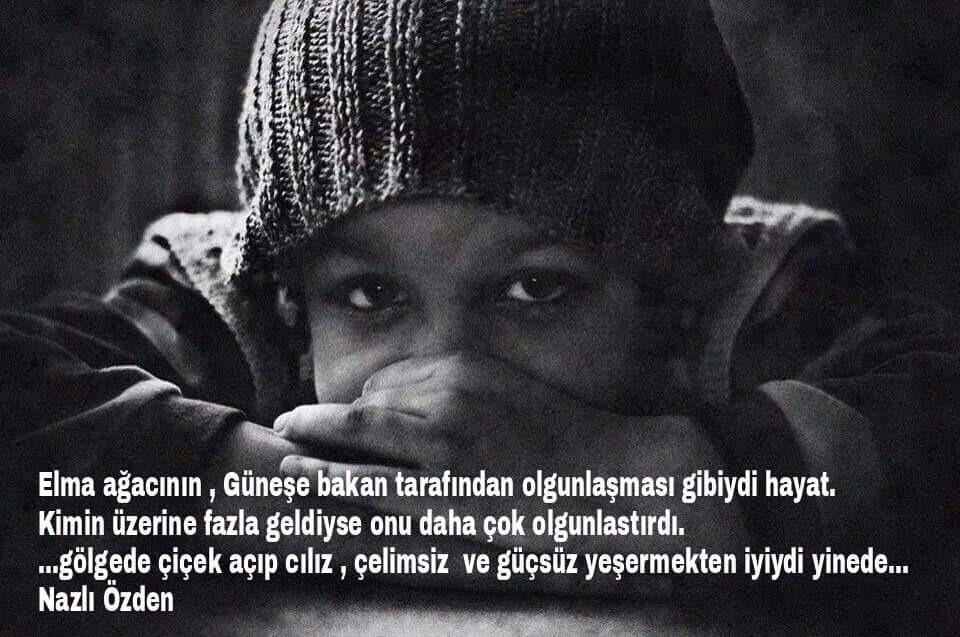 Elma ağacının Güneşe bakan tarafından olgunlasması gibiydi hayat...