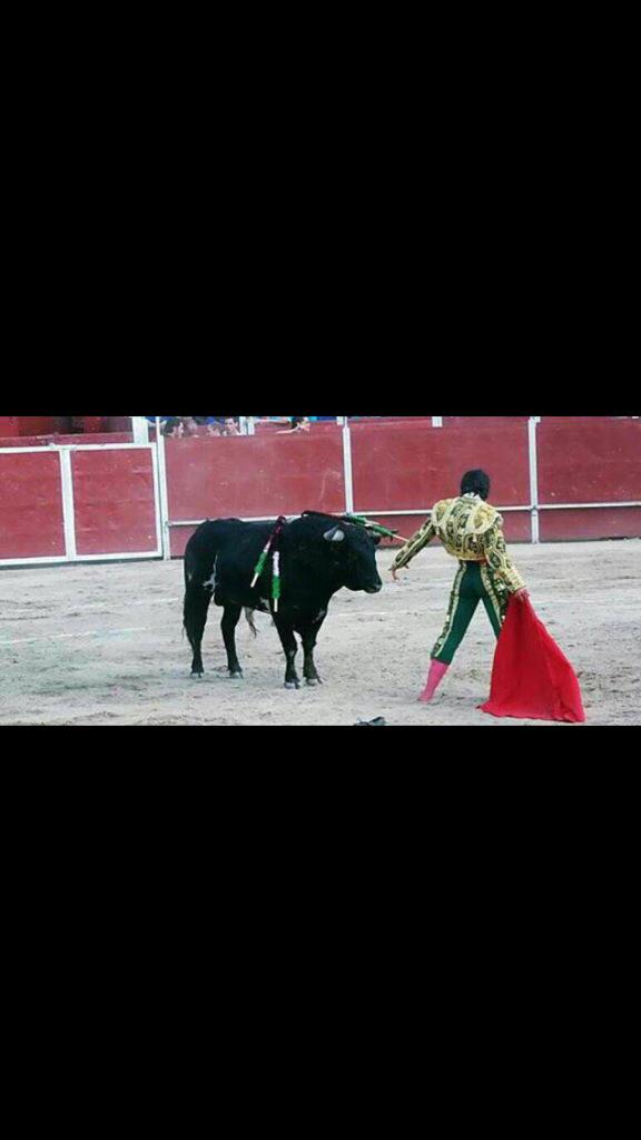 orgyeventos's tweet photo. Feria Taurina de Nombela (Toledo),25 y 26 de Julio. http://t.co/w84oh3SKKC