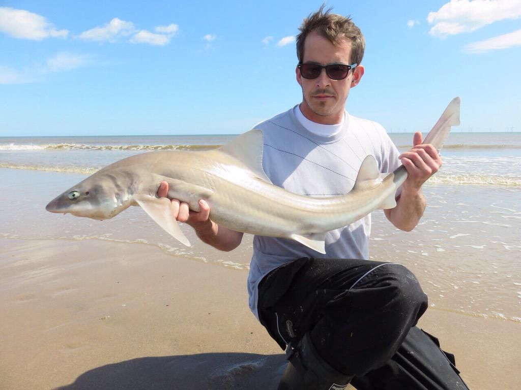 lfwgeorge's tweet photo. 17lb 06oz..... Proud of my mate Wardy #longdistancedave #houndhunters http://t.co/bDGtfUlEkT