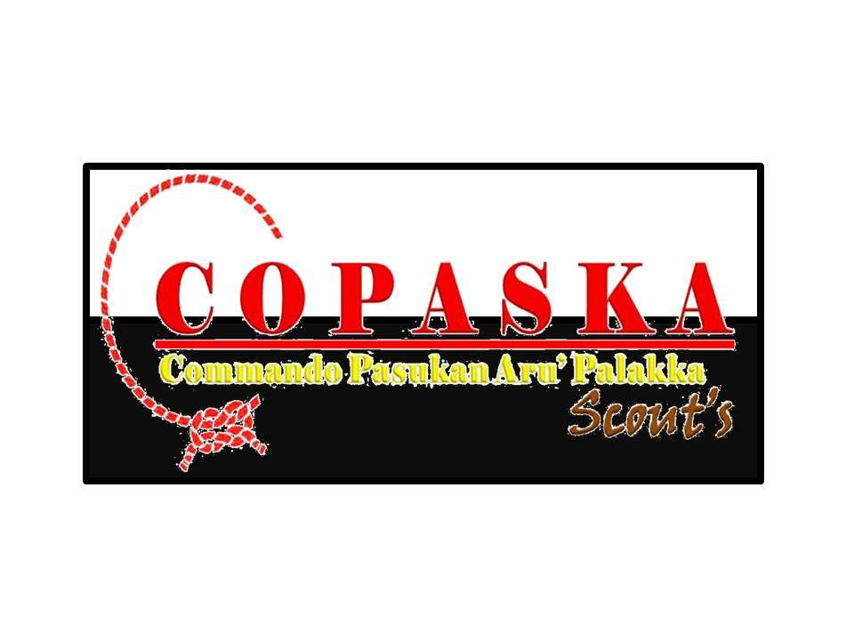 copaskascouts tweet picture