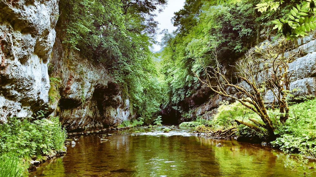 I can highly recommend a walk down Cheedale, what a lovely hidden gem ESP the stepping stones #peakdistrict