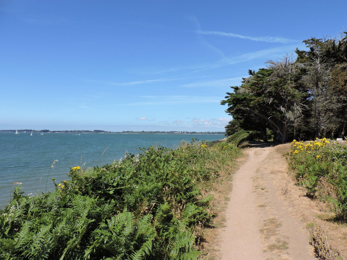 MaisonLocker's tweet image. randonnée ce dimanche à l'ile d'arz, dans le golfe du morbihan. les paysages maritimes sont toujours aussi superbes