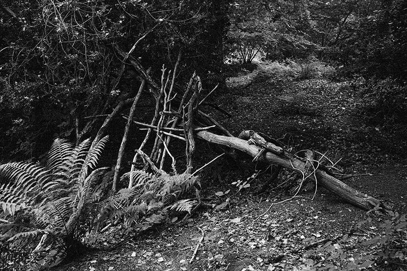 info_hiraeth's tweet photo. Shelter - Part of a ongoing project exploring temporary hand made shelters in the forest of the UK - #hiraethproject http://t.co/sIqGobqXi0