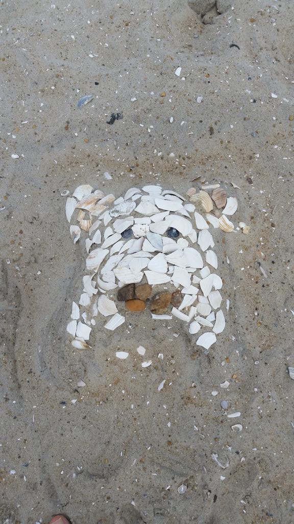 Nx2Xero's tweet photo. @lolesports @LeagueOfLegends Beach poro is ready for team up week. #lcssummer http://t.co/5vjvrQGJtO