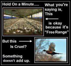 TheChefHuntsman's tweet image. Truth.