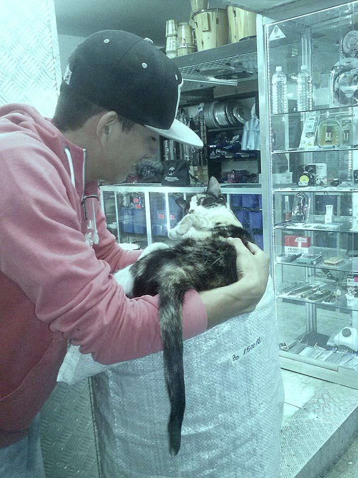 Irjesus1's tweet photo. Vamos a decirle NO al maltrato animal... http://t.co/QCW2hqDNWn