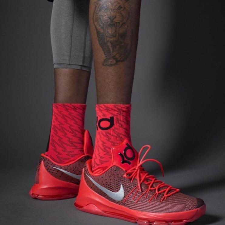 The KD 8