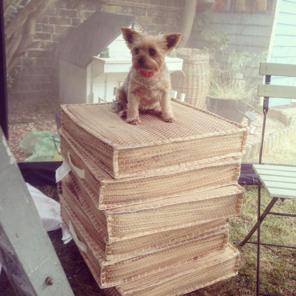ItsTommyGray's tweet photo. I'm party planning and this is somebody's idea of helping 👀 http://t.co/6AIO44EQHA