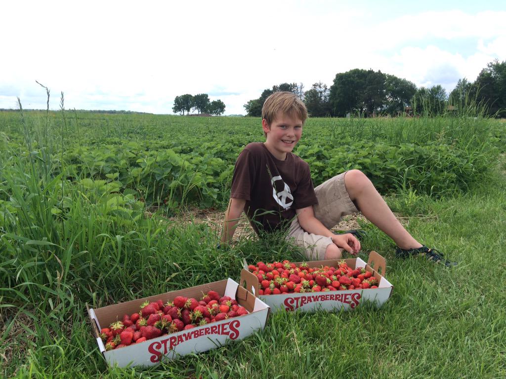 vtricker's tweet photo. @MarkJWestpfahl #Summerbingo!  We were right on your tail Westy. Berries and waterfalls. #Hastings. #rivertown http://t.co/ZQQwFOisoS