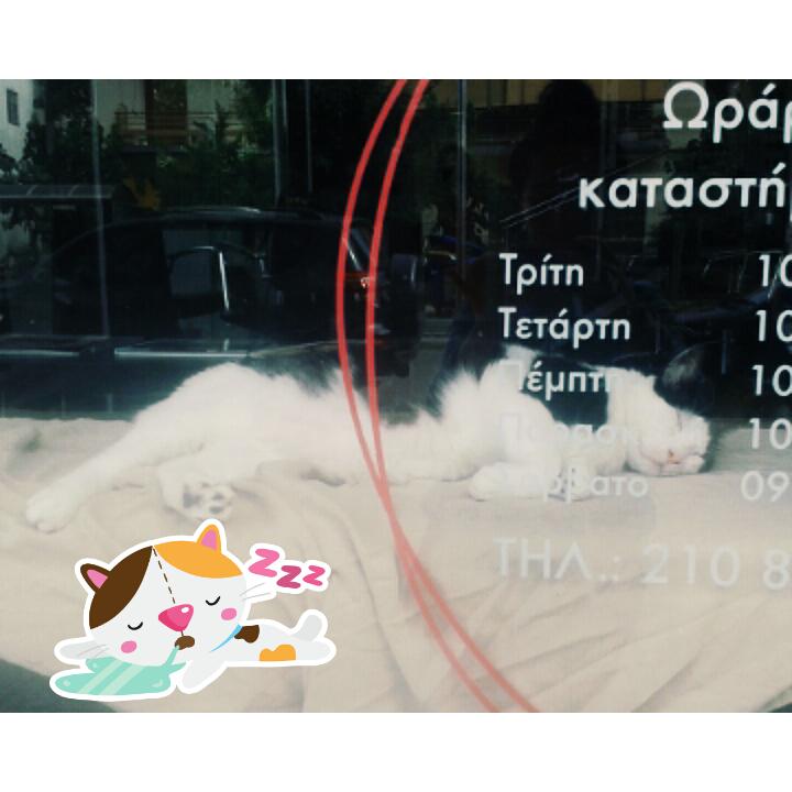 theodoraCTEF's tweet photo. http://t.co/ad4TaIW3PG