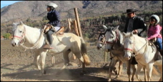 Las alternativas para escapar de la Capital bit.ly/1LPfxZT #CNNChile