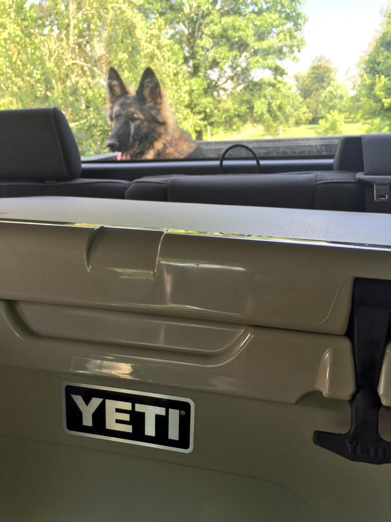 AdamNCartwright's tweet photo. Sunday with @_ChelseaQ7 #YETI http://t.co/l7h6byXVmF