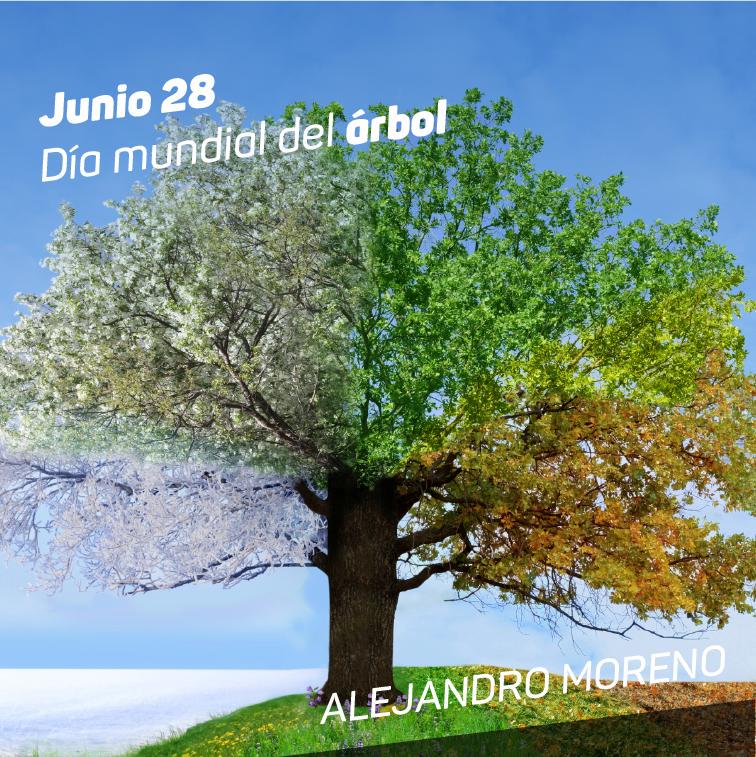 alitomorenoc's tweet photo. Hoy celebramos el #DíaMundialdelÁrbol, es un recordatorio de la importancia de proteger nuestra naturaleza. http://t.co/9lx6sVyFbi