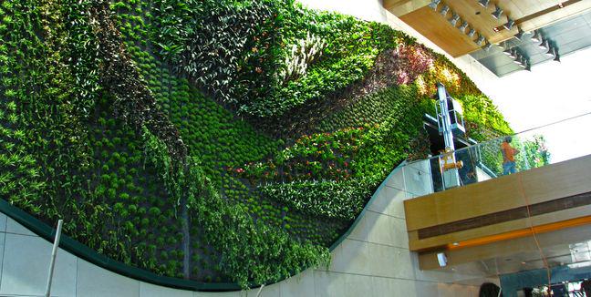 revistascape's tweet image. #EscapeTips  Los jardines verticales mejoran el ambiente y la calidad del aire en los espacios #EcoTurismo