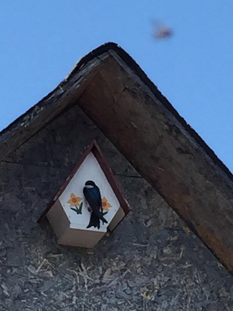 suzero30's tweet image. Lac Carheil