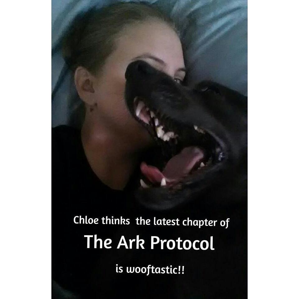 ThatChrisFuller's tweet photo. #thearkprotocol #debutnovel #youngadult #postapocalyptic #aww #Pets #labs #cute #cuteanimals #writer http://t.co/OfH8wn5mrp