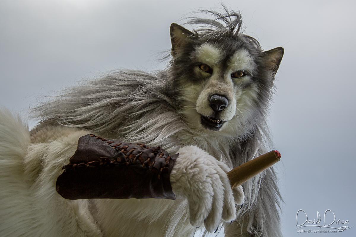 CeSFuR's tweet photo. @EZ_wolf is likely one of the best guests of honor we could wish for. http://t.co/XkGkyTw3NL
