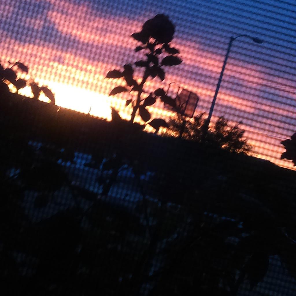 GrabMy_Hips's tweet photo. That' sunset 😍 http://t.co/OOfiUqS3pB