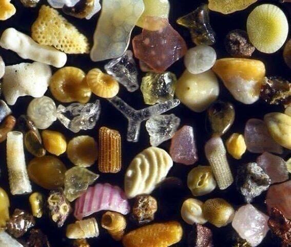 RyanNomados's tweet image. Sand under a microscope with 250x magnification.