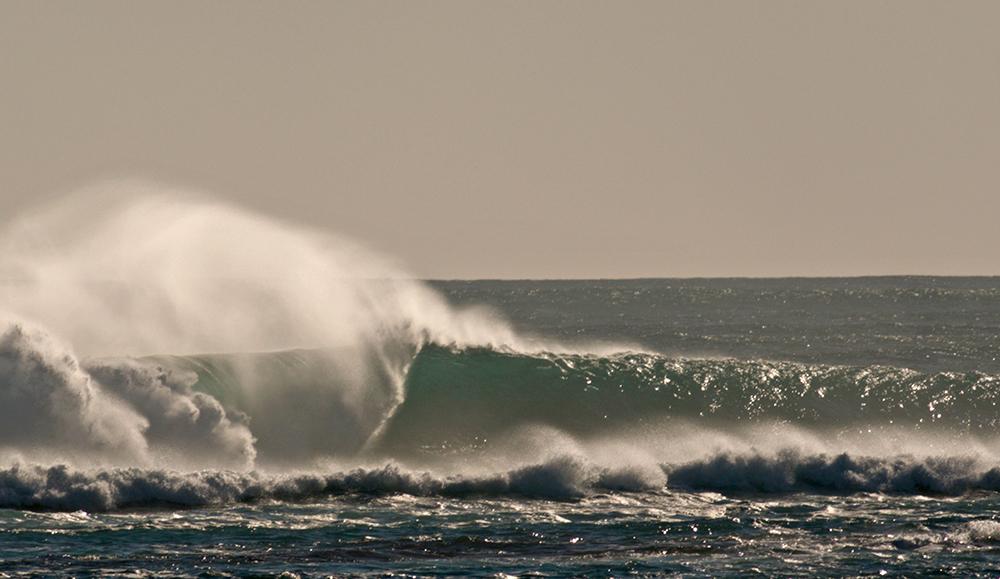 swellcast tweet media