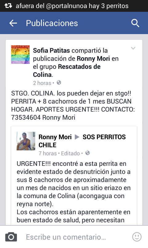 Sita Marce tweet media