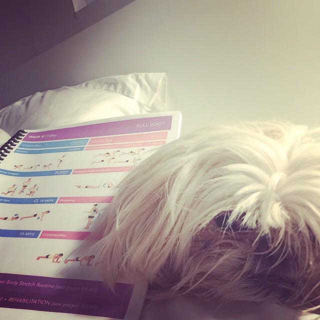 SecretFitFam's tweet photo. The cutest personal trainer checking out this weeks #bbg workouts with me! #bbgarmy #kaylaitsines #kaylasarmy #fโฆ http://t.co/4I1TjuHOjJ