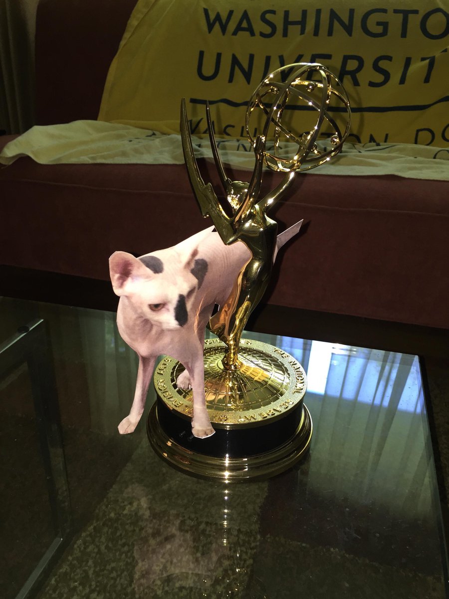 TravelingTally's tweet photo. My new scratching post. Don't I look look good with my new girlfriend Emmy? #CapEmmys #loveislove #LoveWins http://t.co/qBGZPbRY8z