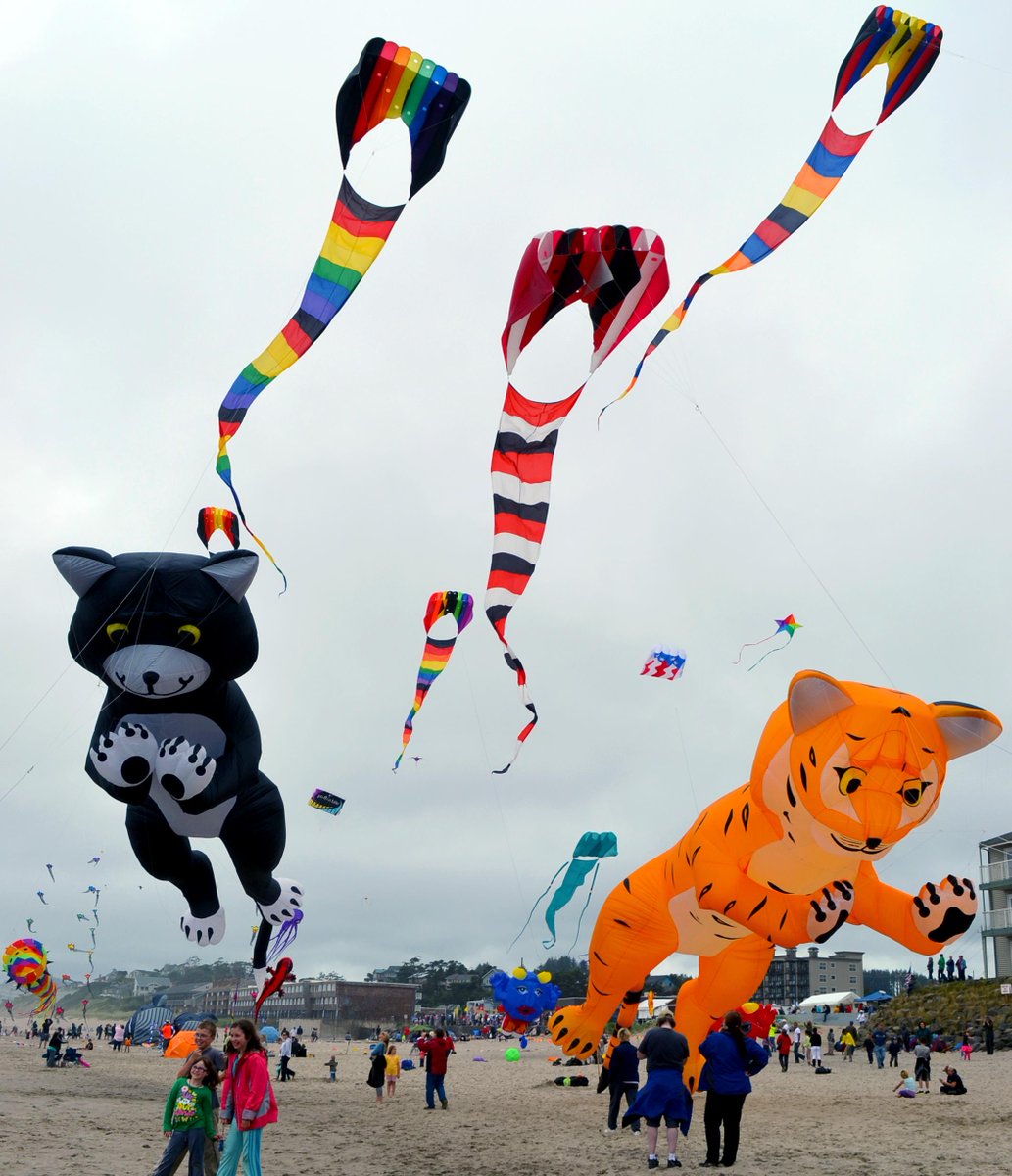 LincolnCityOR's tweet photo. Thank you to all who participated in the #SummerKiteFestival! #FallKiteFestival Oct. 10-11. http://t.co/MhoYtADDgd http://t.co/4ZFplhLsrl